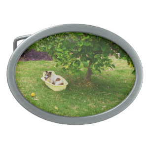 Charlie The Fox Terrier Bath Time, Belt Buckle