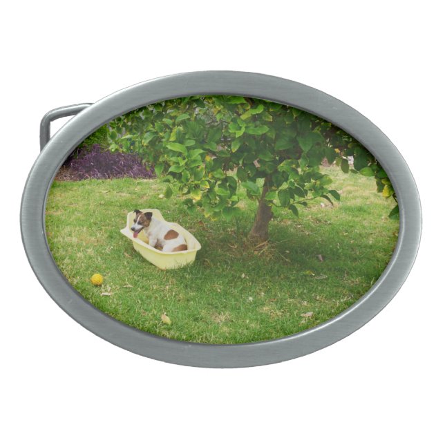 Charlie The Fox Terrier Bath Time, Belt Buckle (Front)