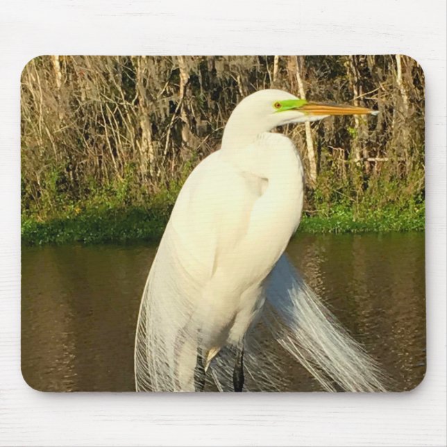Charlie The Great Egret Mouse Pad (Front)