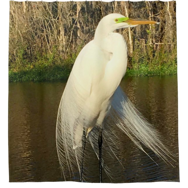 Charlie The Great Egret Shower Curtain (Front)