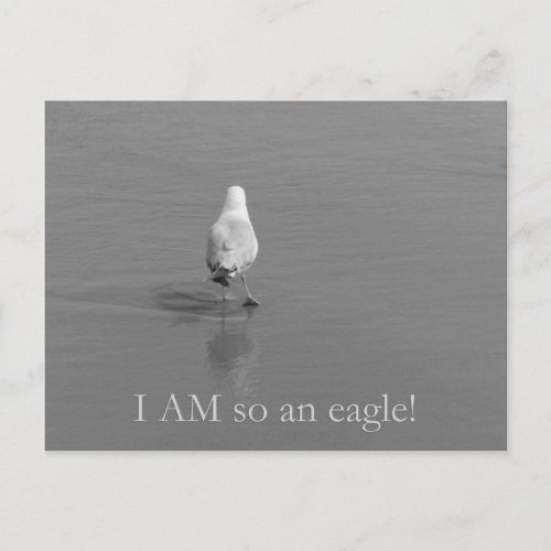 Charlie the lonely seagull _ I am so an eagle Postcard