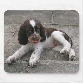 Charlie The Springer! Mouse Pad