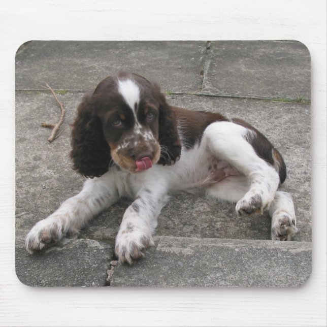 Charlie The Springer! Mouse Pad (Front)