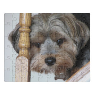 Charlie the Yorkie Jigsaw Puzzle