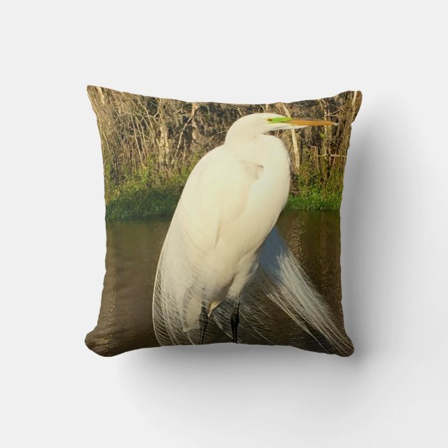 Charlie Throw Pillow (Front)