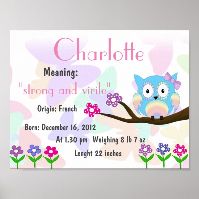 Charlotte Name meaning keepsake nursery Poster (Front)