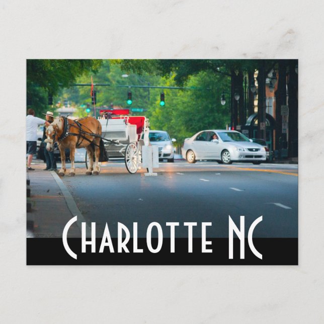 Charlotte NC Postcard (Front)