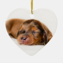 Charlotte Newborn-Lovebugdoxies puppy keepsake