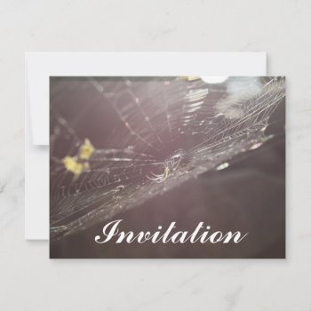Charlotte's Web Invitation by fotoplus at Zazzle