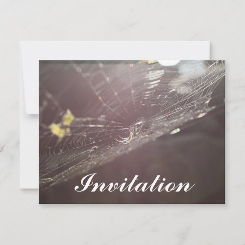 charlottes web invitation