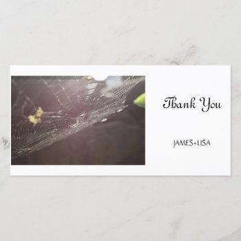 Charlotte's Web Thank You Card by fotoplus at Zazzle