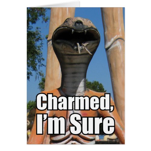 Charmed Im Sure MEME Card