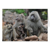 Charmed Life, Lake Manyara (Front Horizontal)