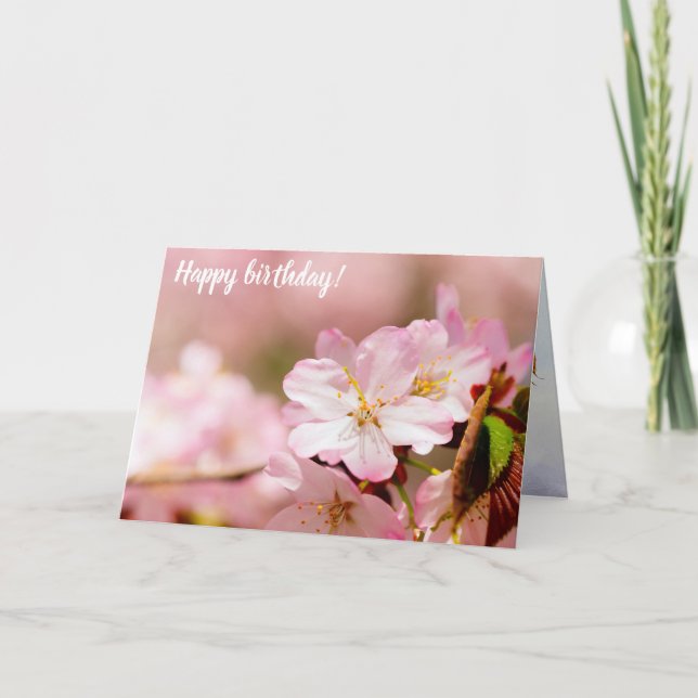 Charmin Sakura Flowers On Pink, Pink, Pink Card (Front)