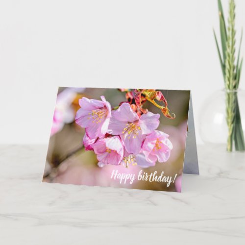 Charming And Cool Sakura Flowers In Springtime Card