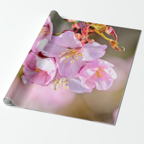 Charming And Cool Sakura Flowers Wrapping Paper