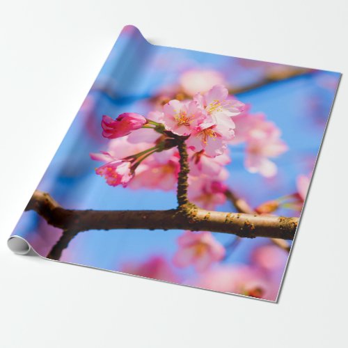 Charming Beauty Of Sakura Flowers In Spring Wrapping Paper