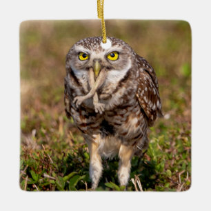 Charming Burrowing Owls of Florida Ceramic Ornament