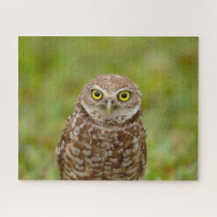 Charming Burrowing Owls of Florida Jigsaw Puzzle