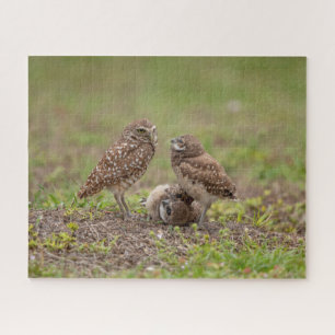 Charming Burrowing Owls of Florida Jigsaw Puzzle