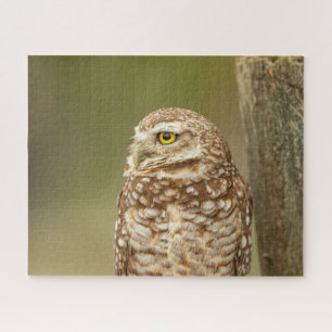 Charming Burrowing Owls of Florida Jigsaw Puzzle