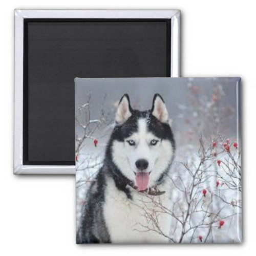 Charming Canine Magnet Personalized Dog Image Ke Magnet