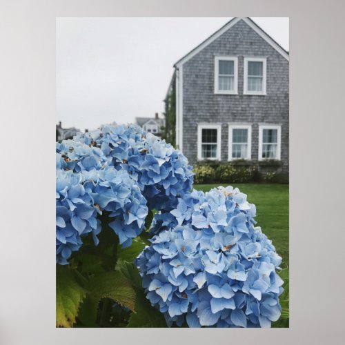 Charming Cape Cod Hydrangeas Cottage Photography  Poster