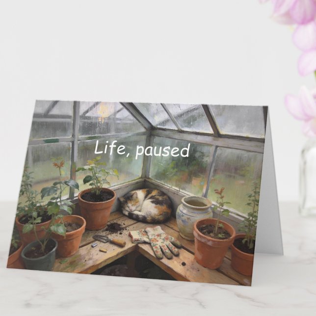 Charming Catnap in Greenhouse Encouragement Card (Catnap Encouragement All-Occasion Custom Card)
