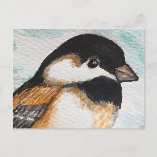 Charming Chickadee Bird Watercolor Cute Small Postcard