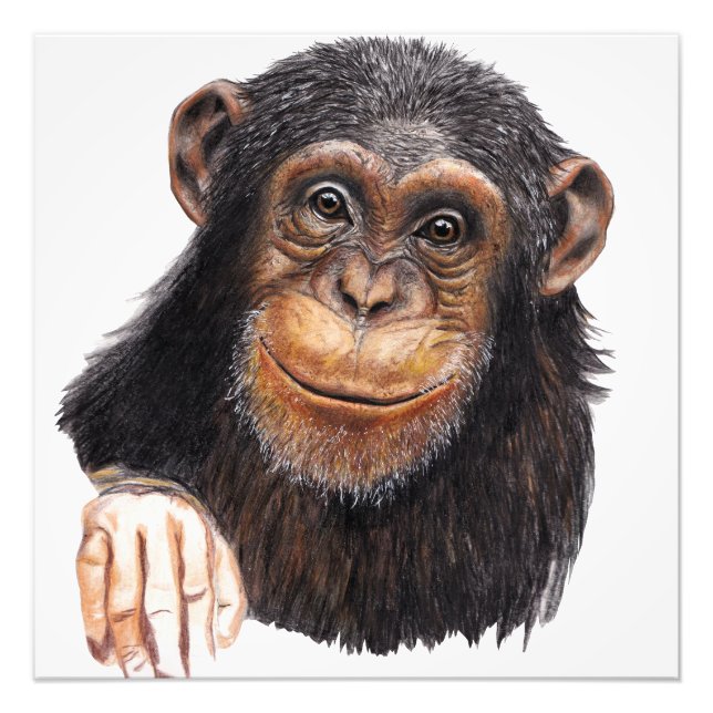 Charming Chimpanzee Photo Print (Front)