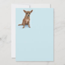 Charming Chiweenie Note Card