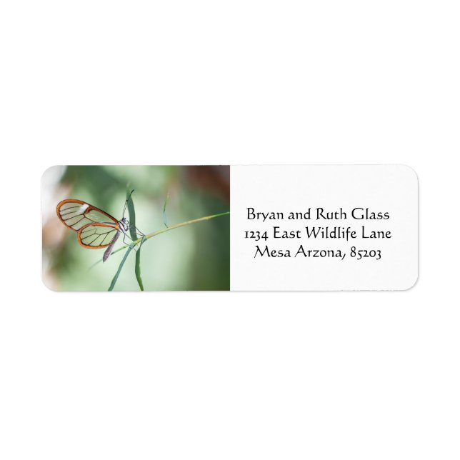 Charming Clear-Wing Butterfly Label (Front)