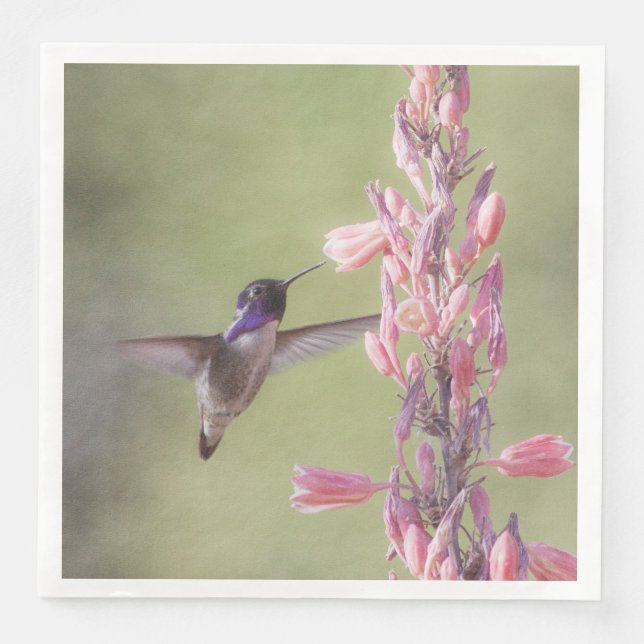 Charming Costa's Hummingbird Paper Dinner Napkins (Front)