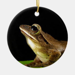 Charming Frog on a Lily Pad, Water Lily Ceramic Ornament