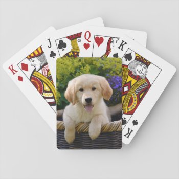 Charming Goldie Dog Cute Puppy  Playing Playing Cards by Kathom_Photo at Zazzle