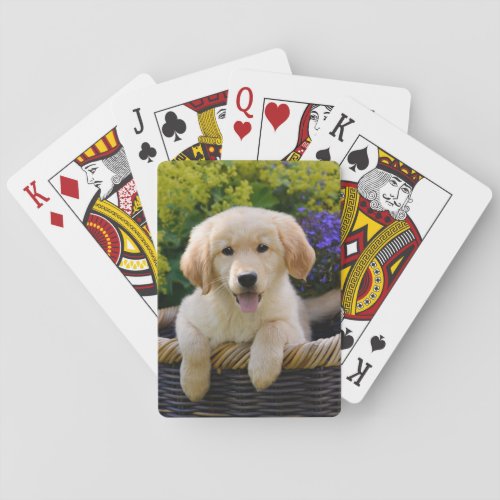 Charming Goldie Dog Cute Puppy Playing Playing Cards