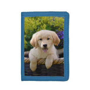 Charming Goldie Dog Cute Puppy, Purse Tri-fold Wallet