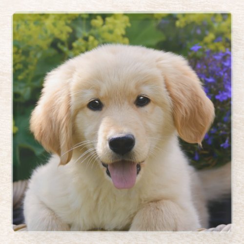 Charming Goldie Dog Puppy Cute Photo Table_Decor Glass Coaster