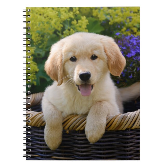 Charming Goldie Retriever Cute Puppy, Photocover Notebook (Front)