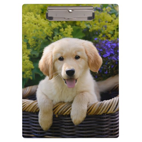 Charming Goldie Retriever Dog Puppy Photo Portrait Clipboard