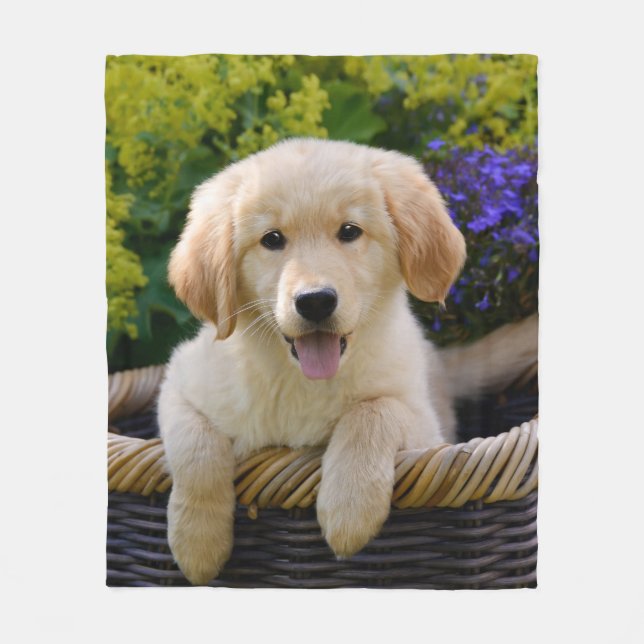 Charming Goldie Retriever Dog Puppy Photo Portrait Fleece Blanket (Front)