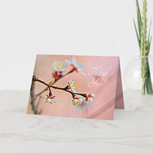 Charming Japanese Apricot Blossoms Thank You Card (Front)