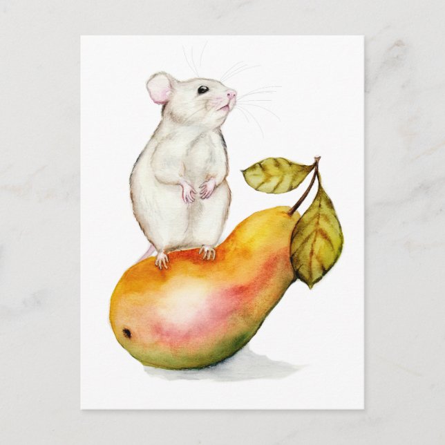 Charming Mouse on a Pear Postcard (Front)