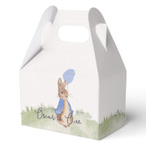 Charming Peter Rabbit Themed Party Boxes