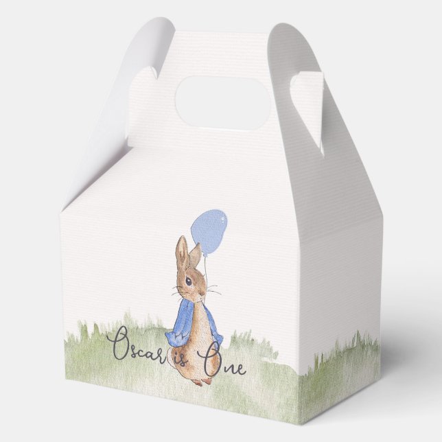 Charming Peter Rabbit Themed Party Boxes (Front)