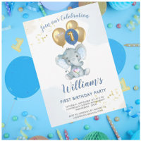 Charming Pink Blue Elephant First Birthday Boy