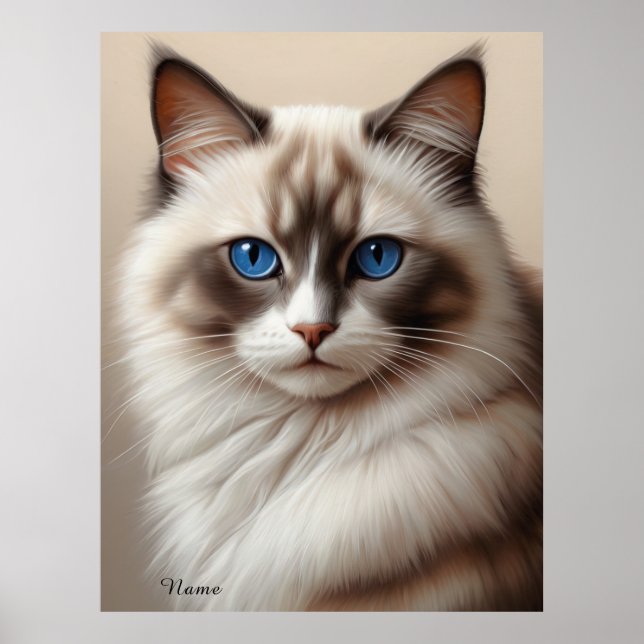 Charming Ragdoll Cat Art Pet Lover Poster (Front)