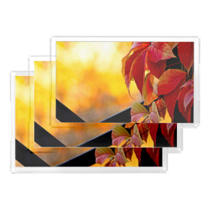 Charming red vine leaves in the autumn garden acrylic tray