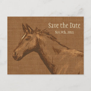 Charming Rustic Horse Save the Date Postcard