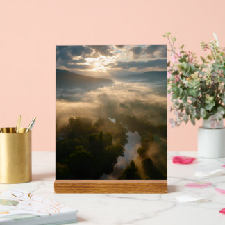 Charming Signs Collection